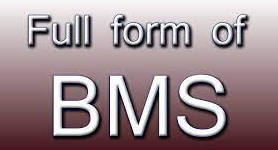 BMS Full Form And Meaning In Hindi Language